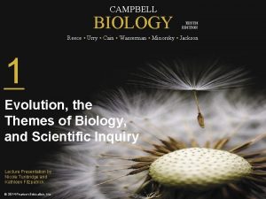 Campbell biology tenth edition