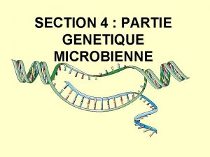 SECTION 4 PARTIE GENETIQUE MICROBIENNE En relation avec