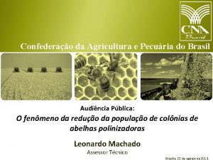 Confederao da Agricultura e Pecuria do Brasil Audincia