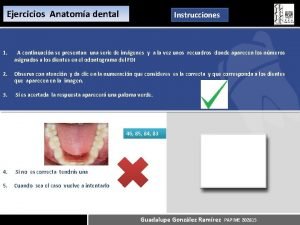 Ejercicios de odontogramas dentales resueltos