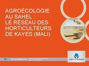 AGROCOLOGIE AU SAHEL LE RSEAU DES HORTICULTEURS DE