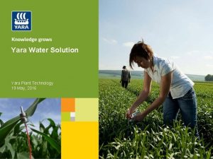 Yara water solution