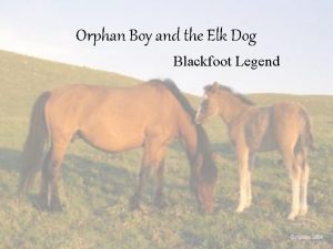 The orphan boy and the elk dog