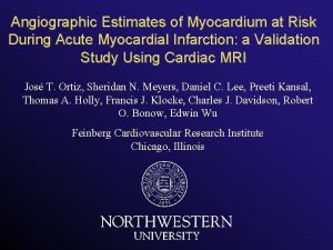 Angiographic Estimates of Myocardium at Risk During Acute