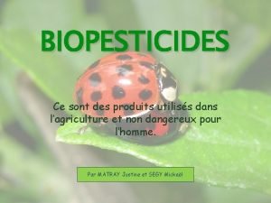 BIOPESTICIDES Ce sont des produits utiliss dans lagriculture