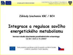 Zklady biochemie KBC BCH Integrace a regulace savho