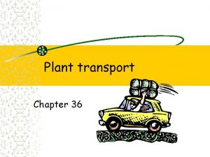 Plant transport Chapter 36 Plant transport Evolutionary changes