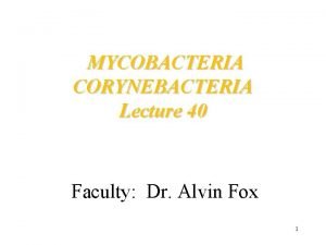 MYCOBACTERIA CORYNEBACTERIA Lecture 40 Faculty Dr Alvin Fox