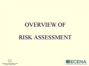 Risk assessment definition