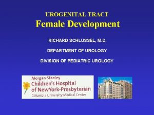 UROGENITAL TRACT Female Development RICHARD SCHLUSSEL M D