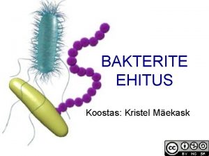BAKTERITE EHITUS Koostas Kristel Mekask Bakterid on herakulised