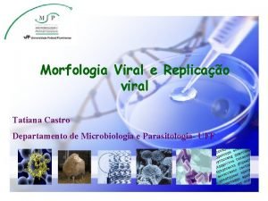Morfologia viral