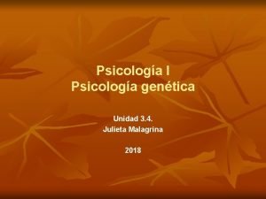 Heterogeneidad estructural piaget