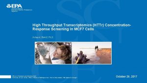 High Throughput Transcriptomics HTTr Concentration Response Screening in High Throughput Transcriptomics HTTr Concentration Response Screening in