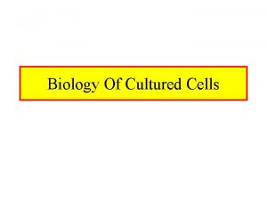 Biology Of Cultured Cells Does Culturing Reflect Reality