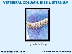 VERTEBRAL COLUMN RIBS STERNUM by Isabella Kung Kaan