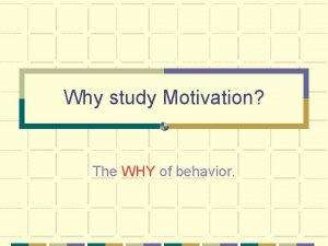 Why study Motivation The WHY of behavior Central