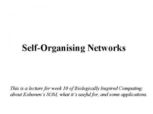 SelfOrganising Networks This is a lecture for week