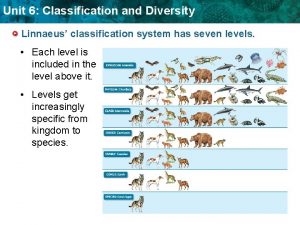 Unit 6 Classification and Diversity Linnaeus classification system