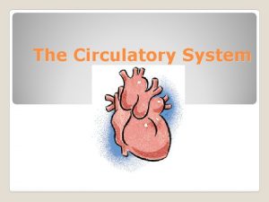 Vena cava function in circulatory system
