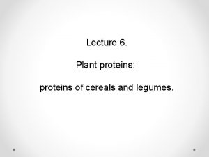 Lecture 6 Plant proteins proteins of cereals and