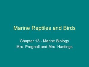 Marine Reptiles and Birds Chapter 13 Marine Biology