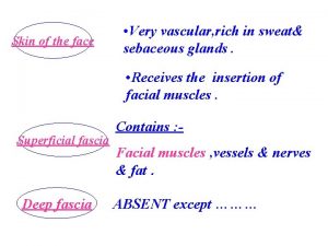 Facial vein and facial artery