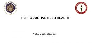 REPRODUCTIVE HERD HEALTH Prof Dr kr Kpll MANAGEMENT