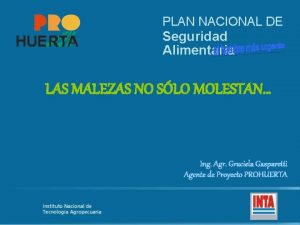 PLAN NACIONAL DE Seguridad Alimentaria LAS MALEZAS NO