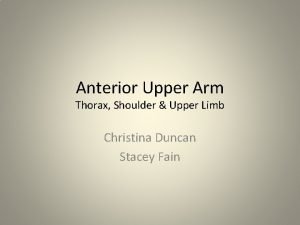 Anterior Upper Arm Thorax Shoulder Upper Limb Christina