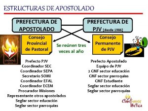 ESTRUCTURAS DE APOSTOLADO PREFECTURA DE PJV desde 1986