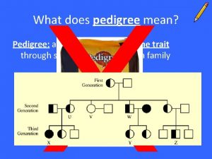 What does pedigree mean