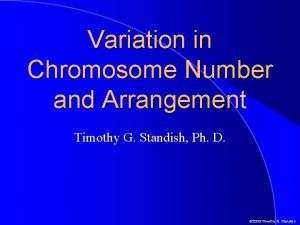 Number of chromosomes