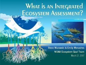 Integrated ecosystem assessment