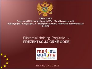 CRNA GORA Pregovaraki tim za pristupanje CRne Gore