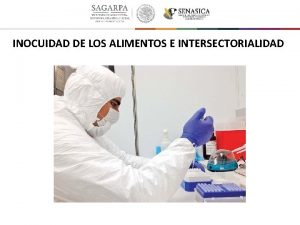 INOCUIDAD DE LOS ALIMENTOS E INTERSECTORIALIDAD Octubre 2016