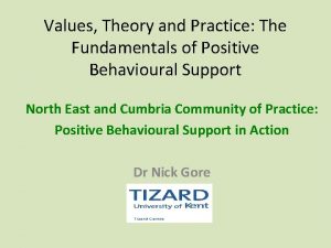 Theories and values of positive practice