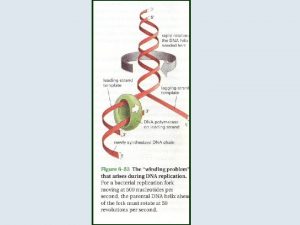 Epipodofillotossine