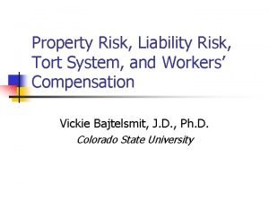 Property Risk Liability Risk Tort System and Workers