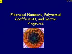 Fibonacci Numbers Polynomial Coefficients and Vector Programs Leonardo