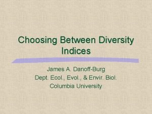 Choosing Between Diversity Indices James A DanoffBurg Dept