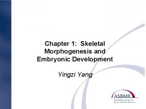 Chapter 1 Skeletal Morphogenesis and Embryonic Development Yingzi