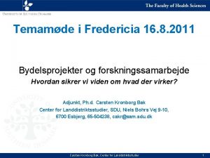 Temamde i Fredericia 16 8 2011 Bydelsprojekter og