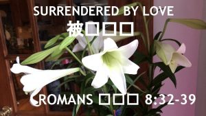 SURRENDERED BY LOVE ROMANS 8 32 39 Story