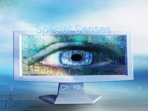 Special Senses Ch 10 Sensory functions 1 Sensory