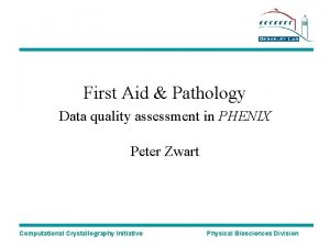 First Aid Pathology Data quality assessment in PHENIX