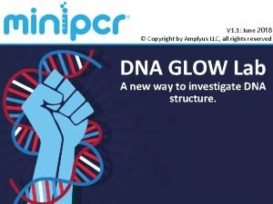 Minipcr dna glow lab answers