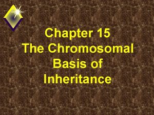 Chapter 15 The Chromosomal Basis of Inheritance Timeline