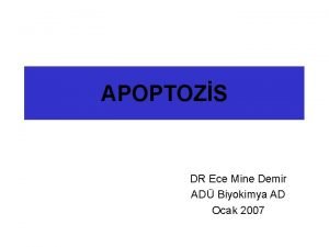 Apoptozs