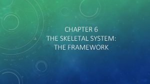 CHAPTER 6 THE SKELETAL SYSTEM THE FRAMEWORK SKELETAL